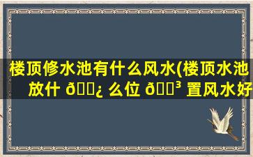 楼顶修水池有什么风水(楼顶水池放什 🌿 么位 🐳 置风水好)